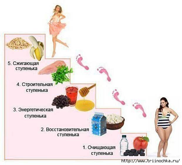 Простая и полезная диета - ЛЕСЕНКА!/4059776_Etapi__Lesenka (467x424, 77Kb)