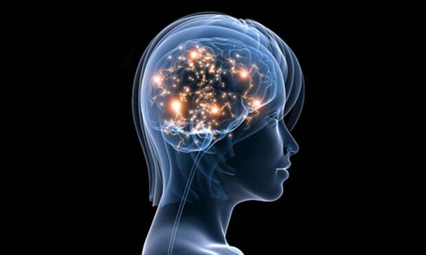http://psifactor.info/wp-content/uploads/2016/12/iStock_Active-Brain-Resized_v1.jpg