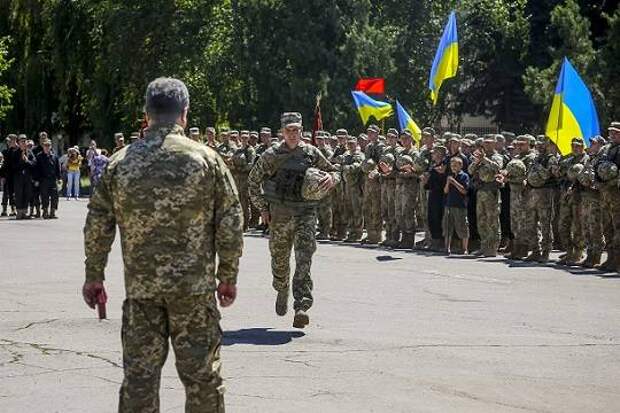 Пётр Порошенко и его «ручные» националисты наносят удар по Юлии Тимошенко