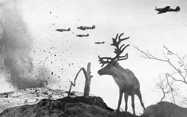 24 исторических советских и российских фото, которые точно надо посмотреть