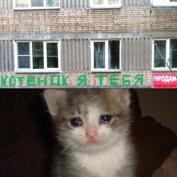 Воскресная деградация Воскресная деградация