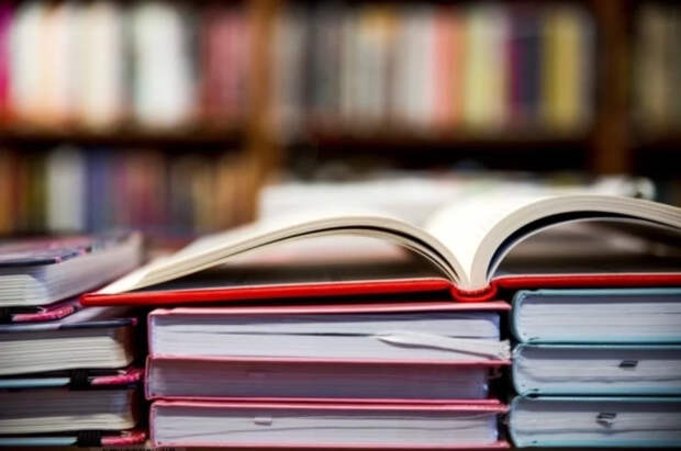 Пушкина лишили авторства «Сказки о золотой рыбке» в молдавском учебнике