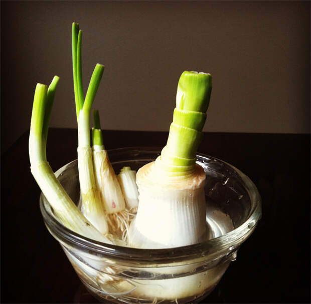 leeks