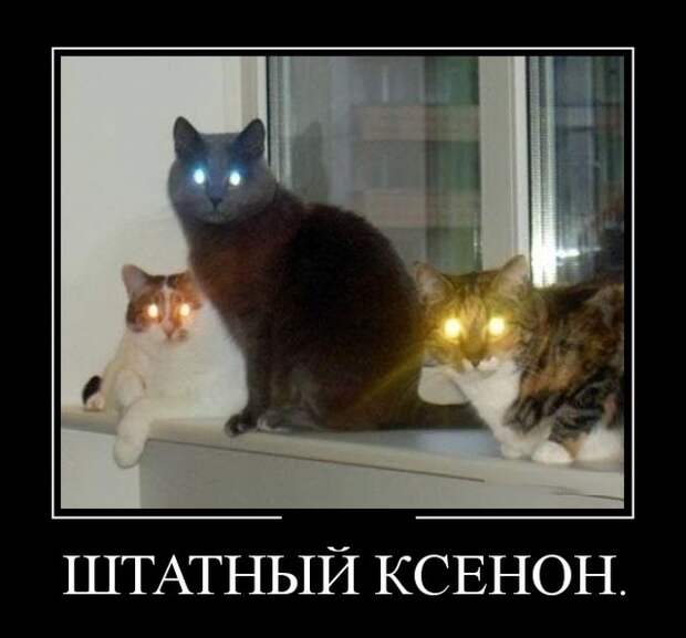 Демотиваторы