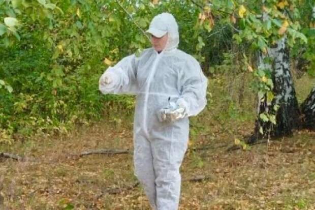 В Тамбовской области раскладывают вакцину против бешенства диких животных