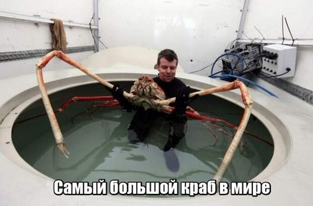 Мир никогда не прекратит удивлять нас Мир никогда не прекратит удивлять нас