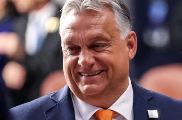 Орбан заявил, что Зеленский едет в ЕС на лошади задом наперед