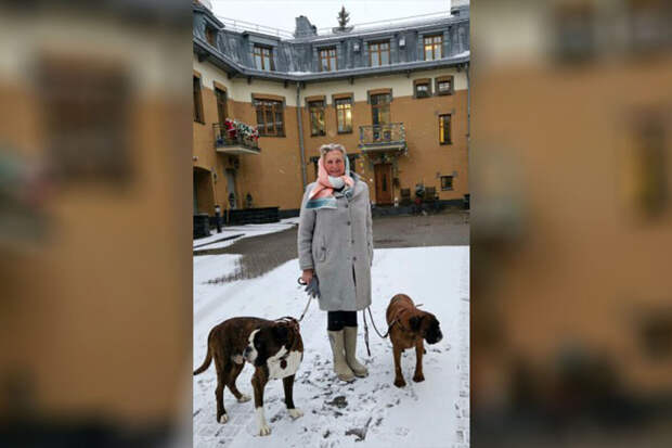 Экс-глава МИД Австрии Кнайсль показала свое жилье в уентре Санкт-Петербурга