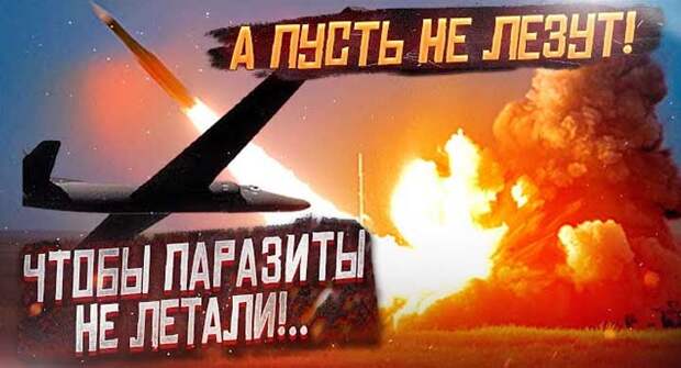 Чтобы паразиты не летали! Зачем России так много разных ракет?