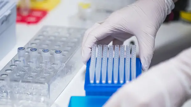 В Британии спрогнозировали рост числа случаев инфицирования омикрон-штаммом