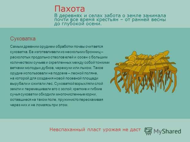 Невспаханный пласт урожая Невспаханный пласт урожая