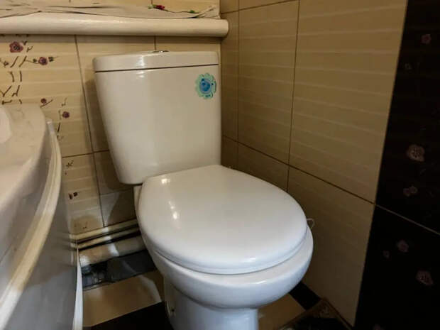 Собрал фальш-стену за вечер и спрятал трубы без шпаклевки: немецкая альтернатива громоздким коробам