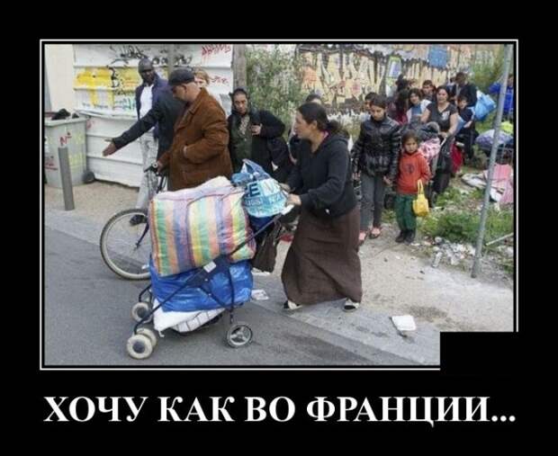 Демотиваторы (30 фото)