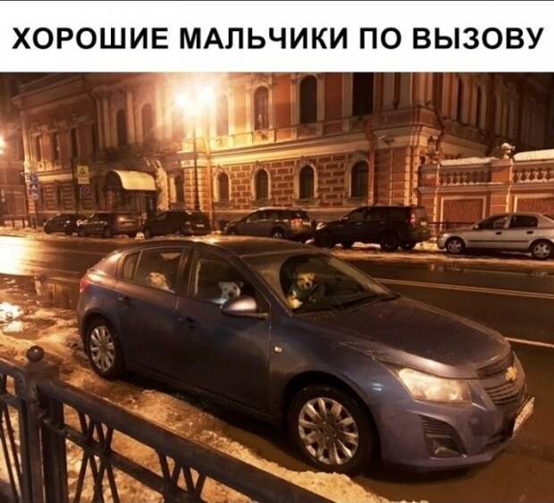 Юмор и шутки с просторов сети (27 фото)