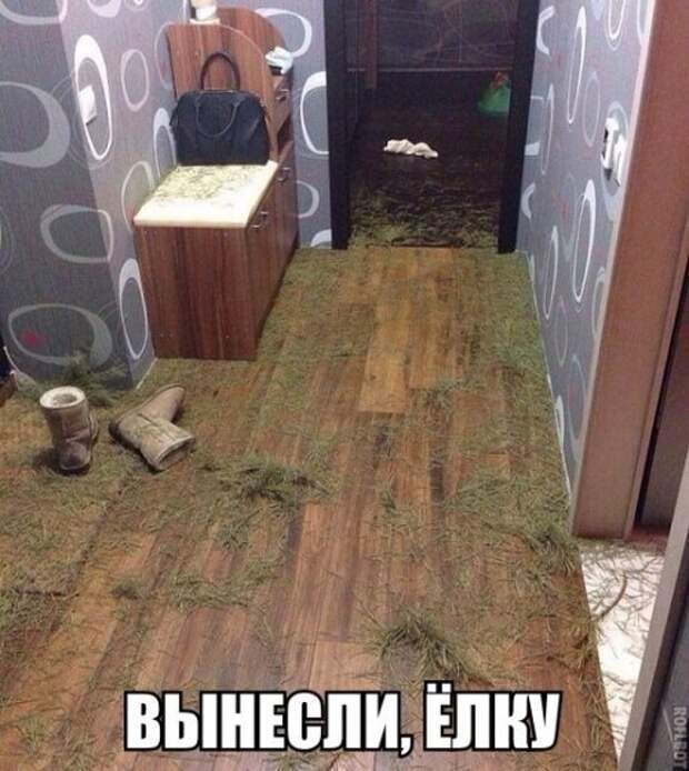 Новые фотомемы (22 шт)