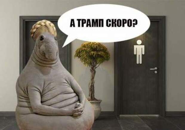 Смешные фотожабы на встречу Трампа и Тимошенко "взорвали" Сеть