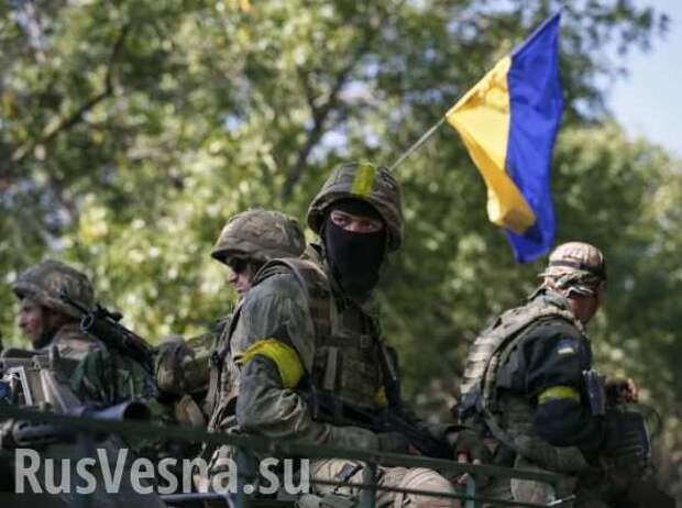 Каратели делают наркотики из препаратов от США, ВСУ устроили жителям ЛНР страшное пробуждение — сводка (ВИДЕО) | Русская весна