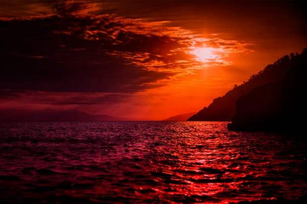 Почему не стоит купаться ночью в Красном море?