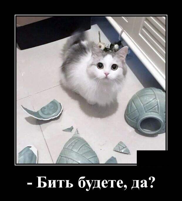 Демотиваторы (30 фото)