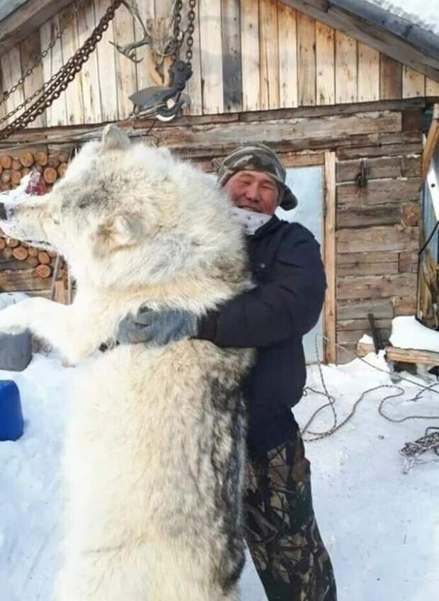 Суровая охота