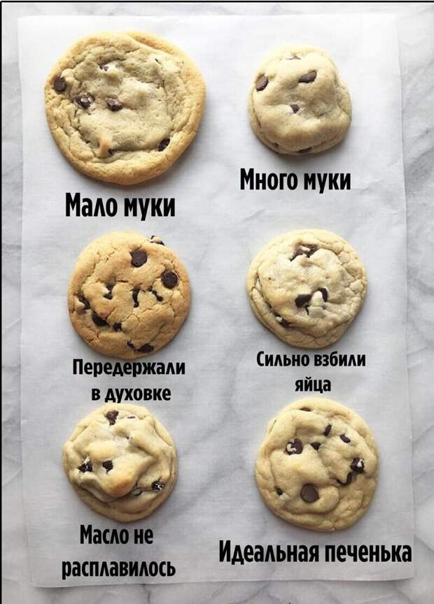 Как понять что не так с печеньем Как понять что не так с печеньем