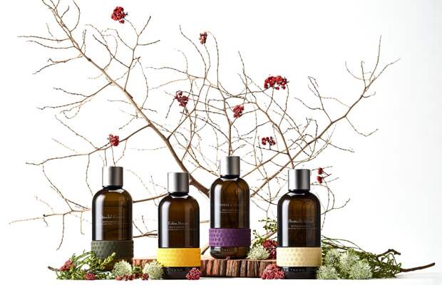 Фото: пресс-служба