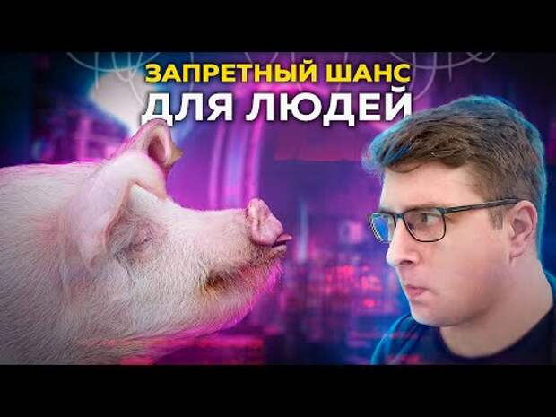 Большая проблема воскрешённых свиней | ПУШКА #38