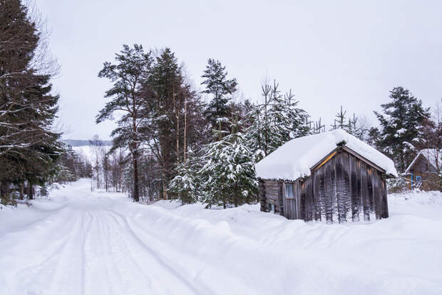 Зимние красоты поселка Вокнаволок в Карелии