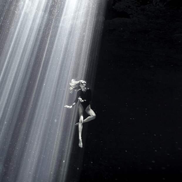 17 фотографий победителей фотоконкурса Underwater Photographer of the Year