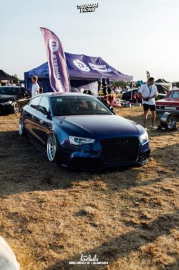 tsunami picnic x lowdaily 66