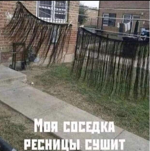Очень прикольные картинки