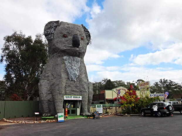 Туристический комплекс «Гигантская коала» в Додсвеллс Бридж, Австралия