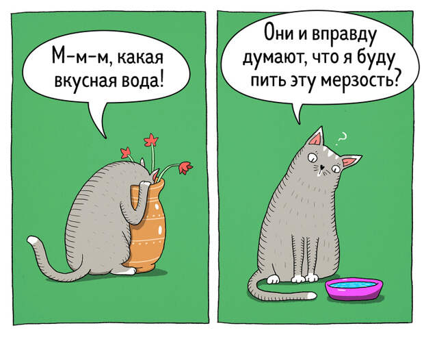14 комиксов о том, что коты — самые противоречивые создания на планете