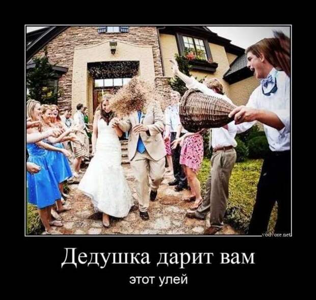Прикольные демотиваторы с надписями. Подборка chert-poberi-dem-chert-poberi-dem-53180208062020-13 картинка chert-poberi-dem-53180208062020-13