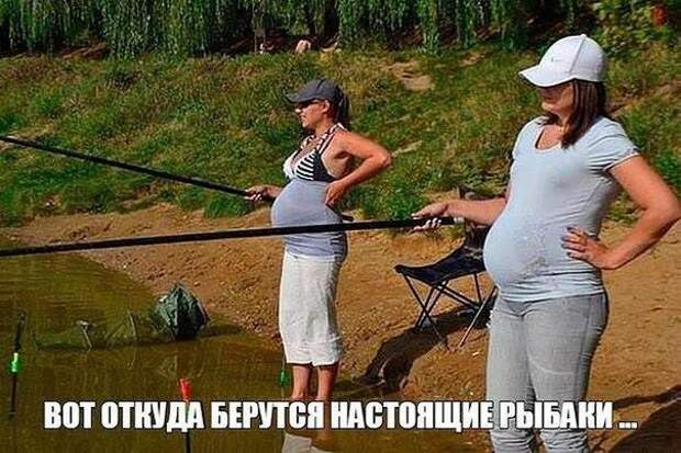 Веселые картинки с надписями со смыслом (11 фото) Веселые картинки с надписями со смыслом (11 фото)