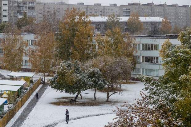 Первый снег выпал в Новосибирске ночью 28 сентября