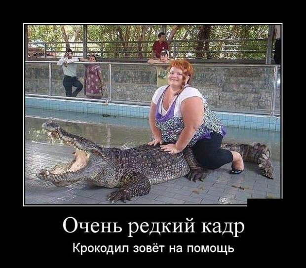 Прикольные и свежие демотиваторы для веселья (11 фото)