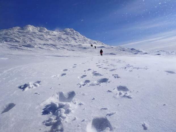 «В СМИ пишут полнейший бред»: выжившая туристка раскрыла подробности трагедии на Камчатке