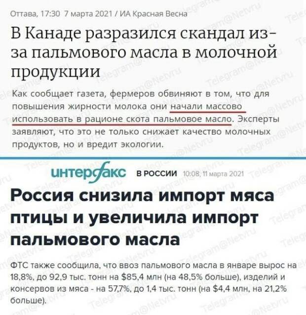 Странные ситуации с российских просторов