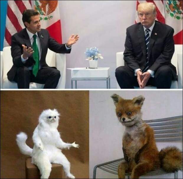Фотоподборка