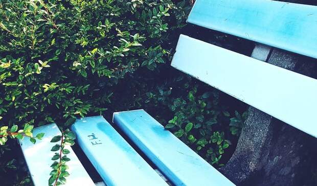 В Московской области управдомы устранили более 900 нарушений в содержании дворов