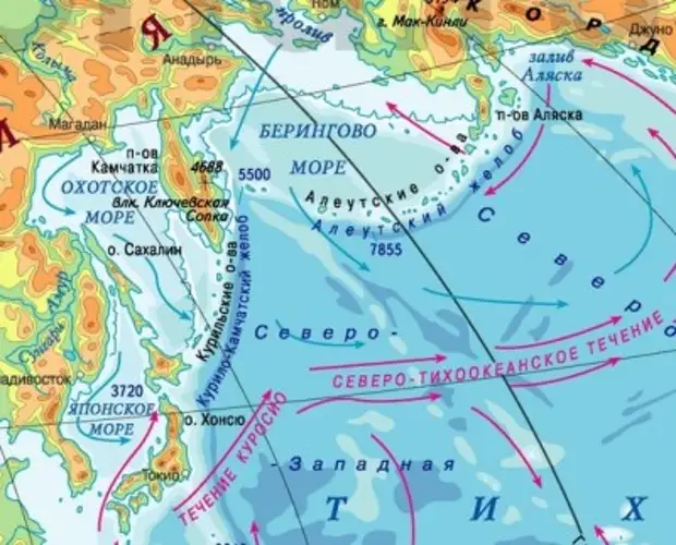 Течения в японском море карта