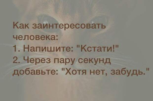 Спецвыпуск смешных и коротких историй из жизни, рассказанных в Интернете. Для прекрасного настроения