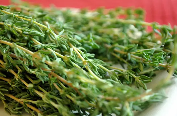 Сохраняем зелень свежей максимально долго. Вместо 2-3 дней не увядает неделями