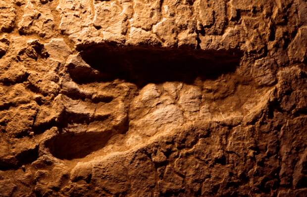 Отпечатки ног бли озера Уилландра Необьяснимое, археология