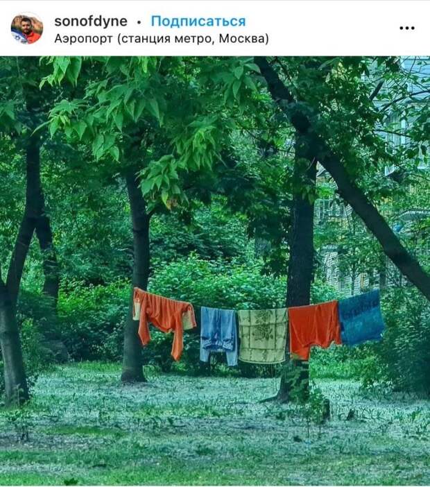 Фото дня: бытовые привычки из прошлого в одном из дворов района
