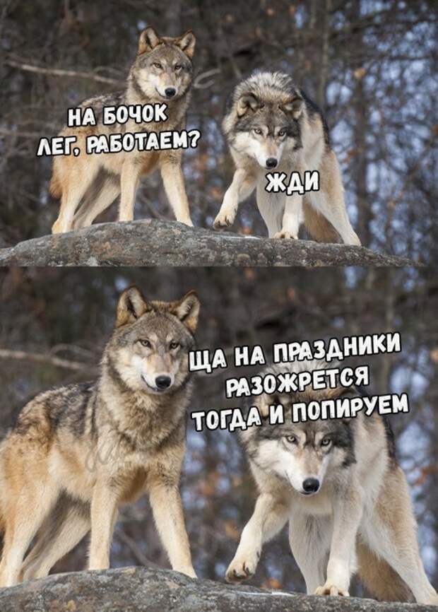 Подборка картинок (20 фото)