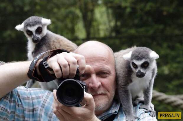 Забавные фотографии диких животных и фотоохотников (46 фото)