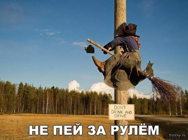 Смешные картинки с надписями