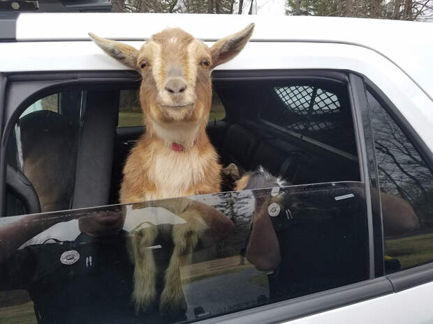 Продвинутый автолюбитель
